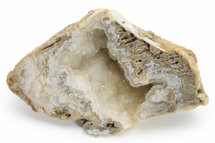 Agatized Fossil Coral Geode - Florida #225130